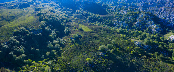 Aerial view of the beech and karst. Sierra de Hornijo Mountain Range close by San Pedro de Soba village in Soba Valley, within Pasiegos Valleys and Alto Ason Natural Park of Cantabria in Spain. Europe