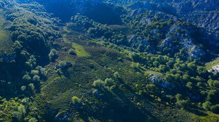 Fototapeta na wymiar Aerial view of the beech and karst. Sierra de Hornijo Mountain Range close by San Pedro de Soba village in Soba Valley, within Pasiegos Valleys and Alto Ason Natural Park of Cantabria in Spain. Europe