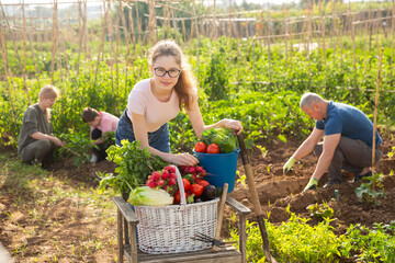 Girl posing with harvest of ripe vegetables on farm field