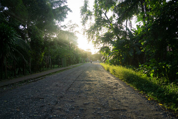 Fototapeta premium road in the morning