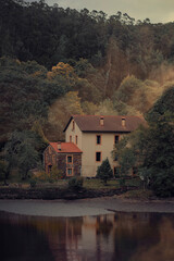 Fototapeta premium Hogar a escondidas.