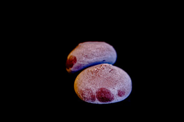 Mochi chocolat - Photo de sushis, makis, california, chirashis, sashimis, temakis, yakitoris et plateaux sur fond noir