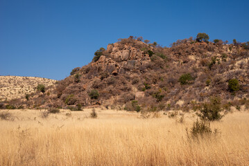 A rocky hill in the african bush.