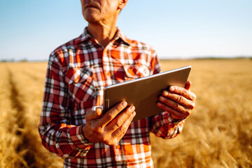 Smart farm. Farmer with a tablet in his hands on an agricultural field. Harvesting, organic farming...