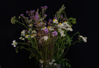 Flowers in pot