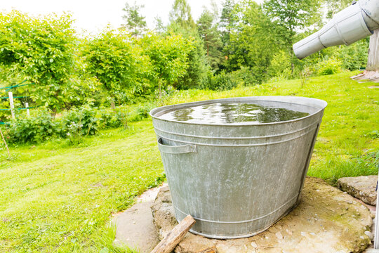 Rainwater Bucket In Garden