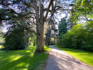 Arboretum (Tree Collection or Baumsammlung), (Flower Island Mainau on the Lake Constance or Die...