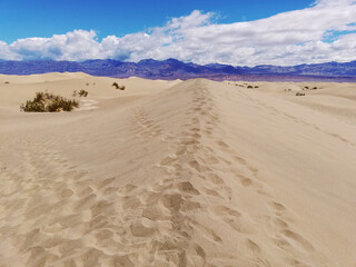 The Mequite Flats at Death Valley National Park, USA.