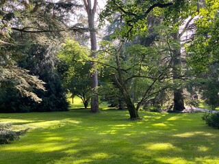 Arboretum (Tree Collection or Baumsammlung), (Flower Island Mainau on the Lake Constance or Die...