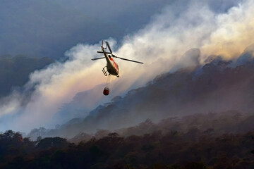 Fototapeta na wymiar Fire fighting helicopter carry water bucket to extinguish the forest fire