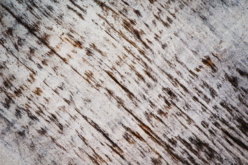 White painted wood texture background.
