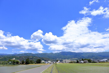 日本の初夏の風景 長野県松本市