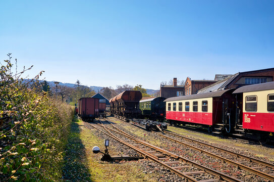 Brockenbahn Hund