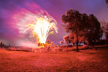 Red colored groundfirework beside a tree behind a meadow