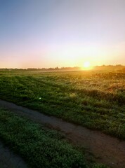 sunset over the field