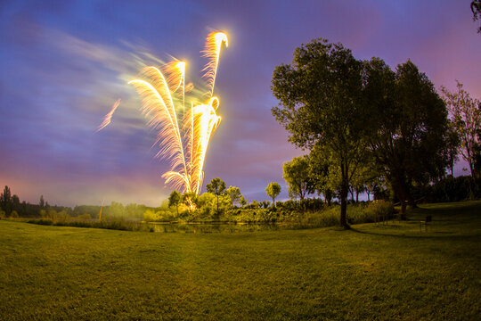 Yellow colored groundfirework beside a tree behind a meadow