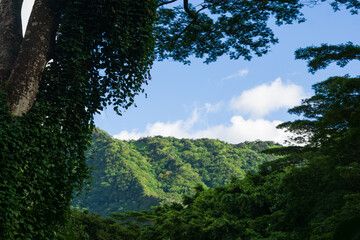 Hawaii
