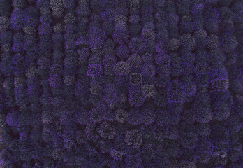 background of beautiful lavender field in deep purple color top view