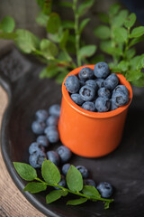 orange jar with blueberries on dark background with green leaves 
