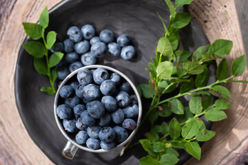 blueberries in day sunlight with fresh green leaves in metal cup on rustic wood background 