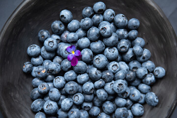 top view on on blueberries and flowers in grey rustic ceramic plate