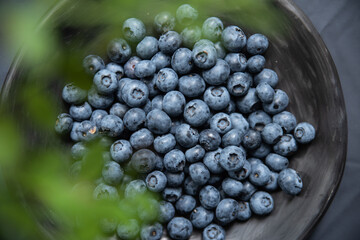 look through green leaves in blueberries on grey rustic ceramic plate