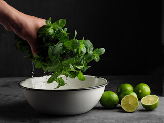Lime and peppermint  on a dark background.