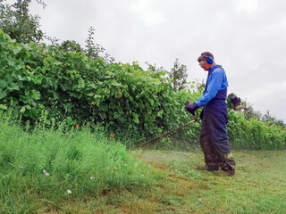 Side view of senior man pruning the tall grass gasoline brush cutter in working overalls, safety glasses and noise cancelling headphones