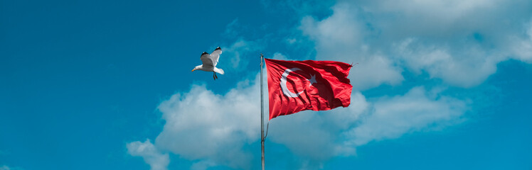 turkish flag and seagull