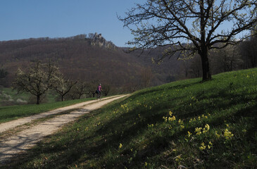 Ruine Reußenstein im Frühling