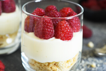 Cheesecake with raspberries in a glass on a concrete background. Classic dessert.