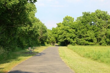 The long empty pathway in the countryside park.