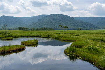初夏の尾瀬