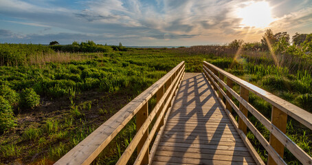 Wooden Bridge on the coast