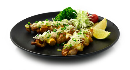 Yakitori Grilled Chicken Skewers ontop Leek Bunching Onion cutlet Japanese Food fusion style