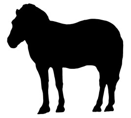 Animal. Black silhouettes of horse isolated on a white background