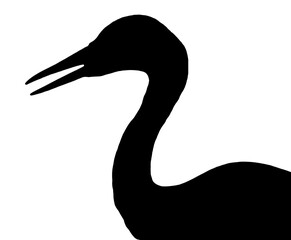 Animal. Bird. Black silhouettes of White stork isolated on a white background