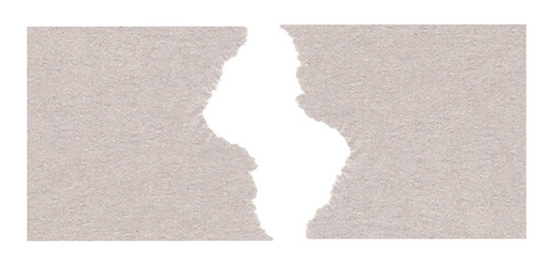 Two  pieces of toilet paper with the lacerated edges is isolated on white