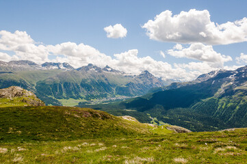 Pontresina, Oberengadin, Corviglia, Stazerwald, Muottas Muragl, Piz Muragl, Schafberg, Alp Languard, Bernina, Wanderweg, Alpen, Graubünden, Sommer, Schweiz
