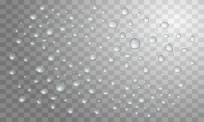Transparent water drops background. Rain or condensation on a surface. Dew. Realistic Vector Background