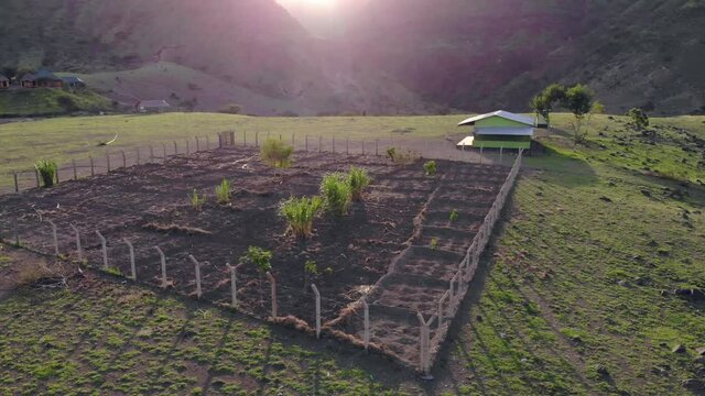 Aerial Panoramic Flyby View on a Farm in Maasai village in front of the Ol Doinyo Lengai, an active volcano in Arusha Region i the Northern Tanzania, Africa, at Sunset time.