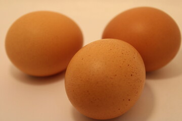 close view of eggs 