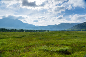 初夏の尾瀬