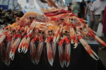Fish-Market at Mercado Central, Cádiz, Costa de la Luz, Andalusia, Spain