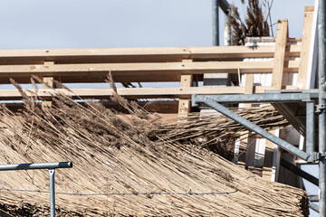 ein Dach wird mit Reet gedeckt