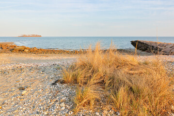 Dead Dry Grass at Silver Sand Beach at Sunset, Milford, Connecticut, USA. Silver Sands State Park is a public recreation area located on Long Island Sound in the city of Milford, Connecticut.
