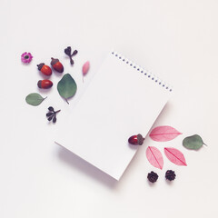 Autumn composition. An open notebook with blank pages is on a white background. The template is decorated with dried leaves, flowers, plants and acorns. Flat lay, top view, copy space.