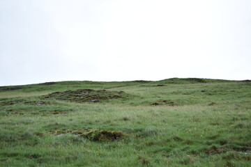 Grassy hillside with a cloudy sky