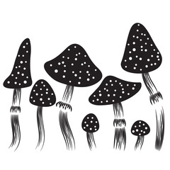 Set of mushrooms. Black silhouette. Vector illustration. Template for engraving, laser cutting, plotter or milling cutting, printing.