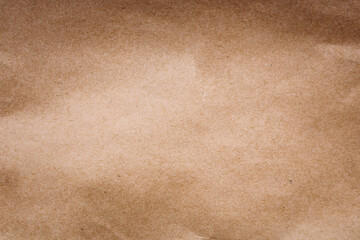 Old Blank Paper Background. Brown Paper Texture